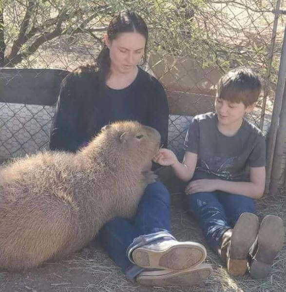 Are Capybaras Good Pets