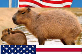 Where Is It Legal To Own A Capybara Pet In The US