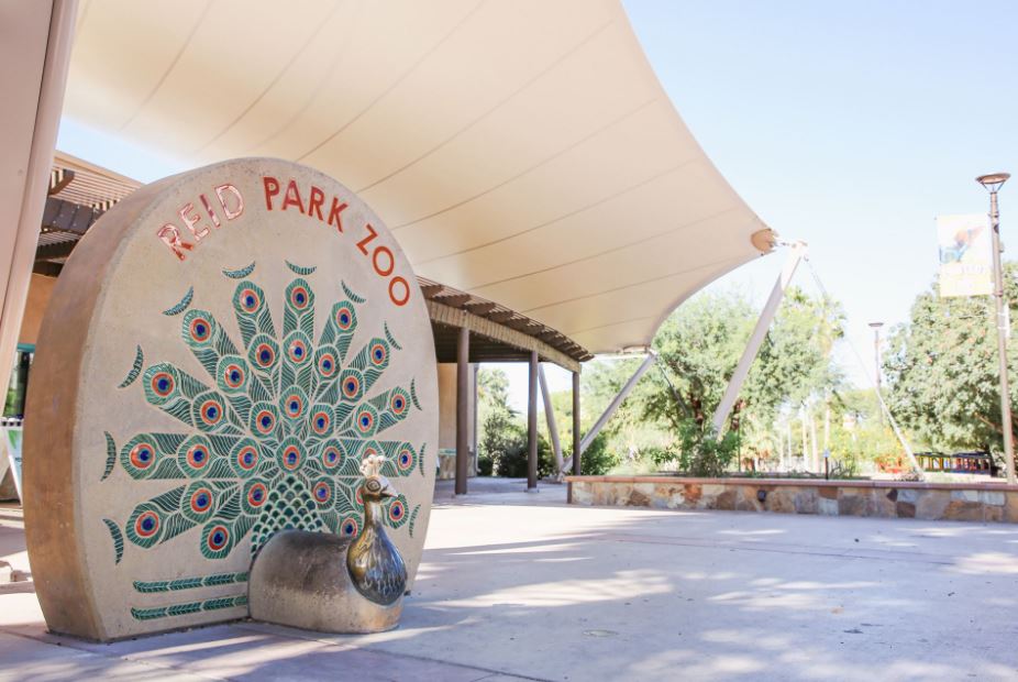 reid park zoo tucson