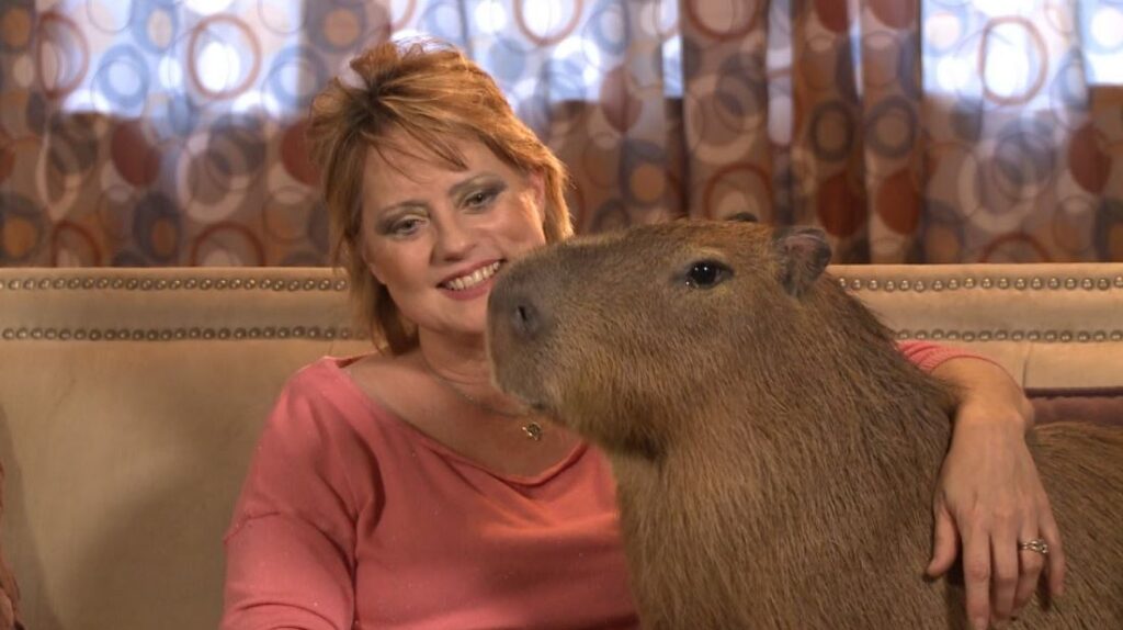 Are capybaras the friendliest animal