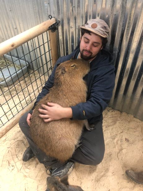 Can a capybara love you