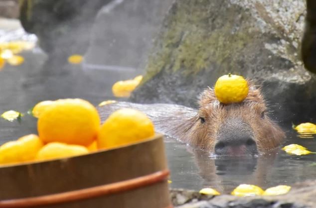 benefits of yuzu bath