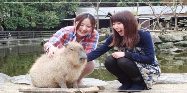 Are capybaras friendly to humans