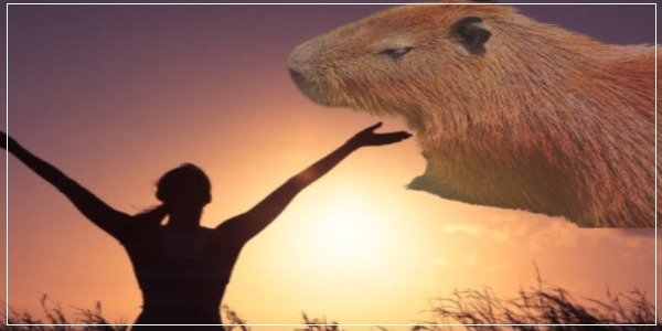 Do people worship capybara