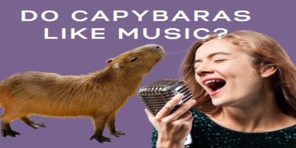 Do Capybaras Like Music