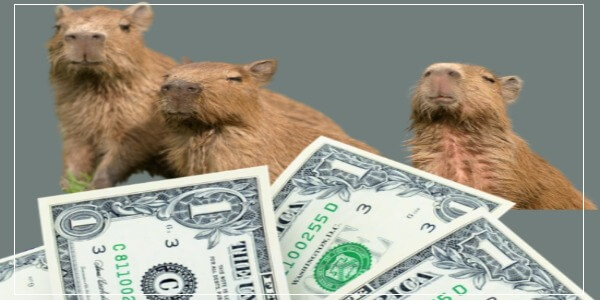 Ways to make money with your capybara