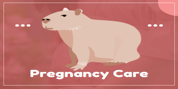 Caring For A Pregnant Capybara