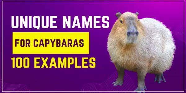 Capybara Names