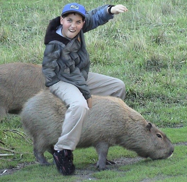 Can You Ride a Capybara